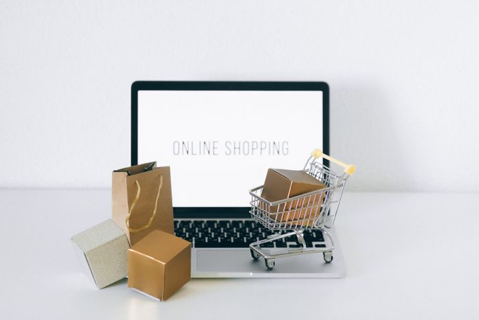 Negozio online sul portatile